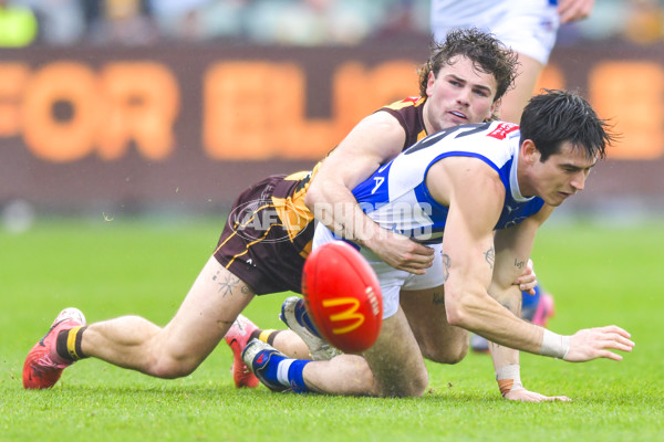 AFL 2024 Round 24 - Hawthorn v North Melbourne - A-53353587