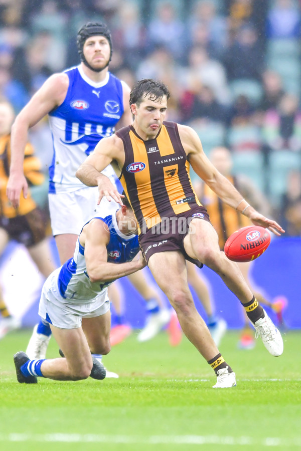 AFL 2024 Round 24 - Hawthorn v North Melbourne - A-53353588