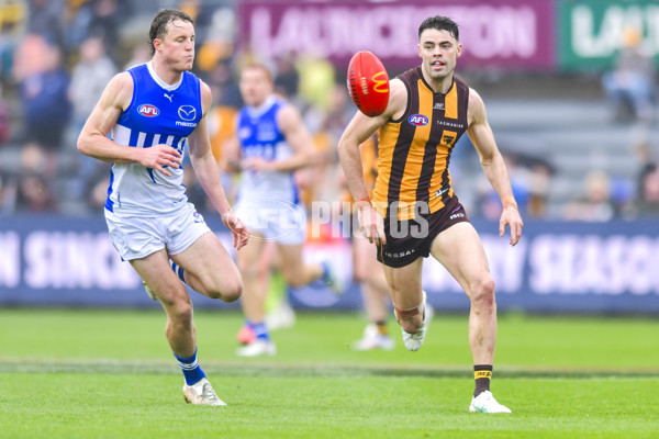 AFL 2024 Round 24 - Hawthorn v North Melbourne - A-53353589