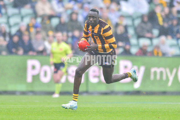 AFL 2024 Round 24 - Hawthorn v North Melbourne - A-53353590