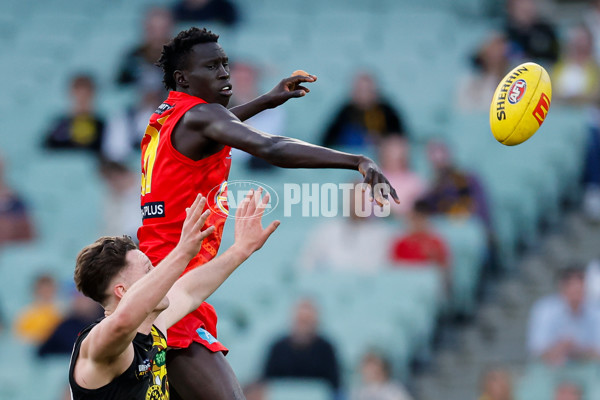 AFL 2024 Round 24 - Richmond v Gold Coast - A-53353608