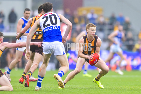 AFL 2024 Round 24 - Hawthorn v North Melbourne - A-53354058