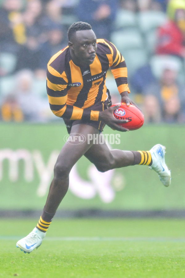 AFL 2024 Round 24 - Hawthorn v North Melbourne - A-53354066