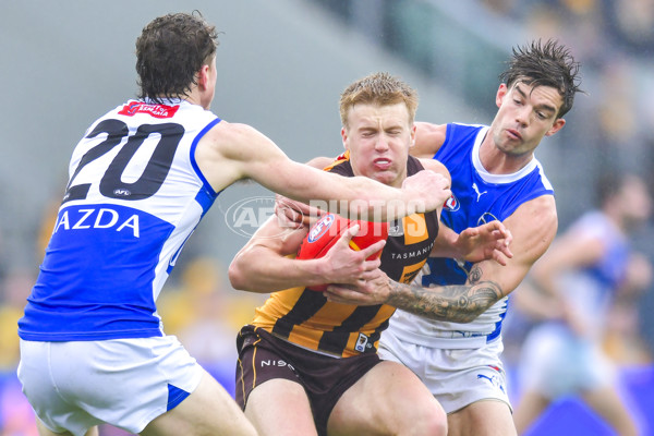 AFL 2024 Round 24 - Hawthorn v North Melbourne - A-53354067