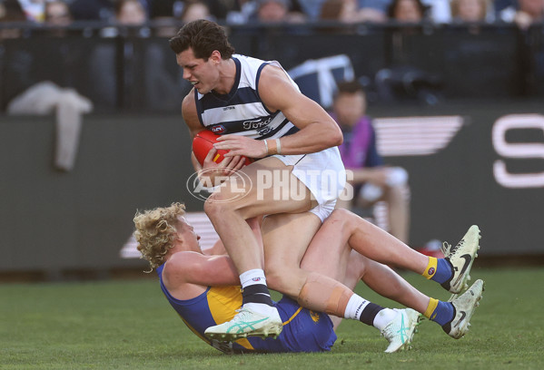 AFL 2024 Round 24 - Geelong v West Coast - A-53356127