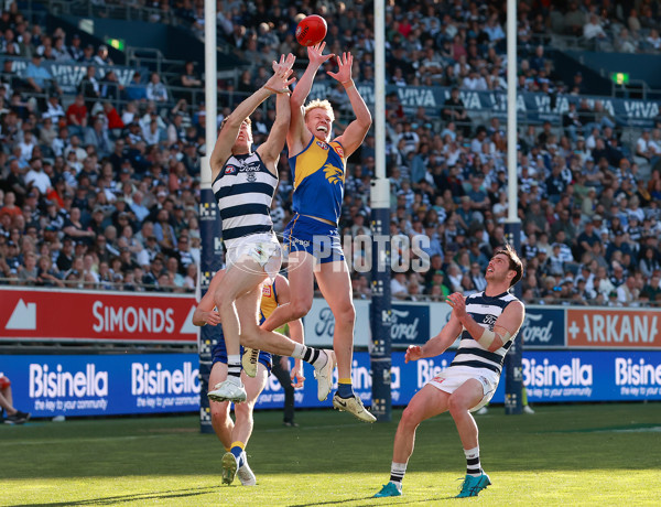 AFL 2024 Round 24 - Geelong v West Coast - A-53356140