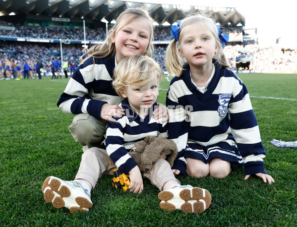 AFL 2024 Round 24 - Geelong v West Coast - A-53358539