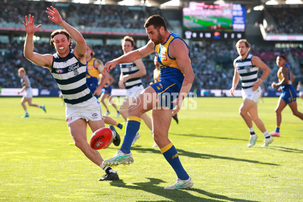 AFL 2024 Round 24 - Geelong v West Coast - A-53358577