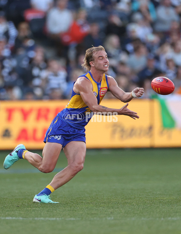 AFL 2024 Round 24 - Geelong v West Coast - A-53358580