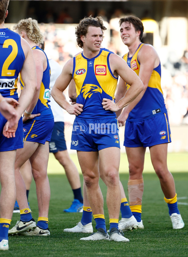 AFL 2024 Round 24 - Geelong v West Coast - A-53359211