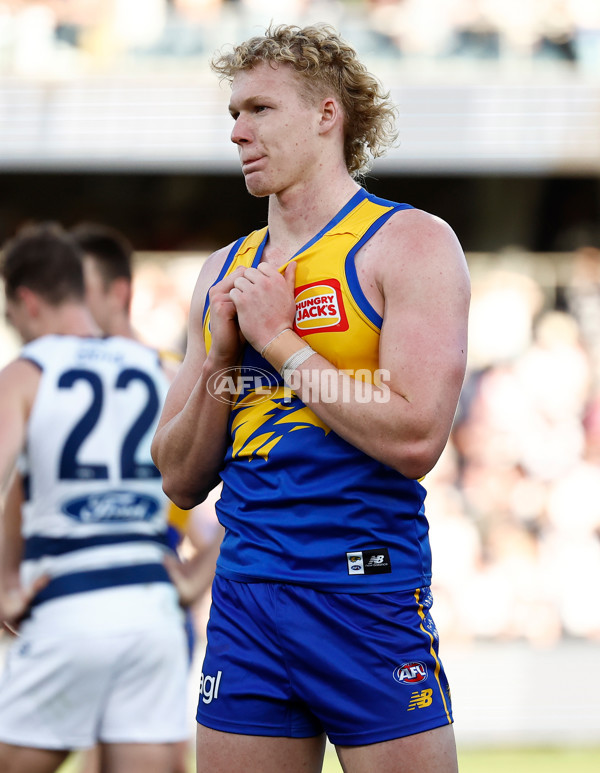 AFL 2024 Round 24 - Geelong v West Coast - A-53359231