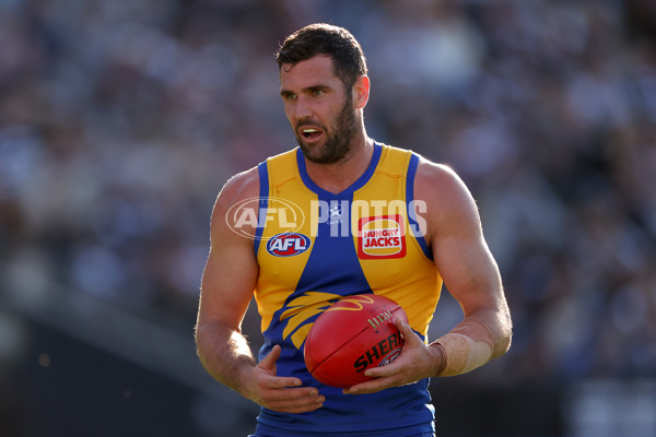 AFL 2024 Round 24 - Geelong v West Coast - A-53359256