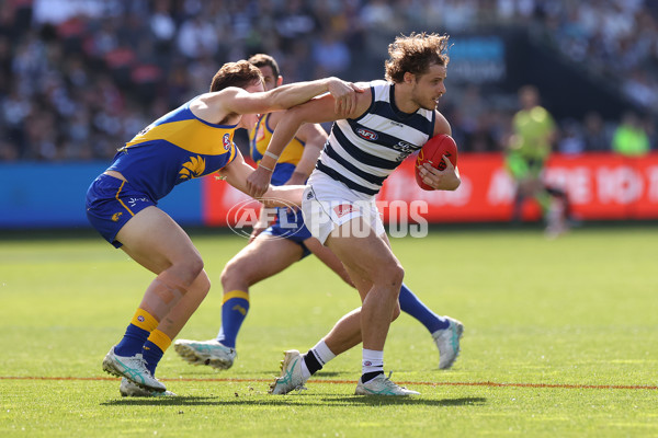 AFL 2024 Round 24 - Geelong v West Coast - A-53361436