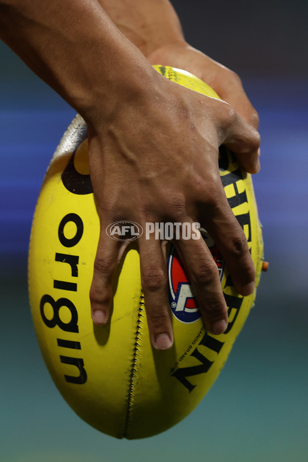 AFL 2024 Round 24 - Sydney v Adelaide - A-53361455