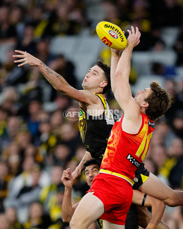 AFL 2024 Round 24 - Richmond v Gold Coast - A-53364111