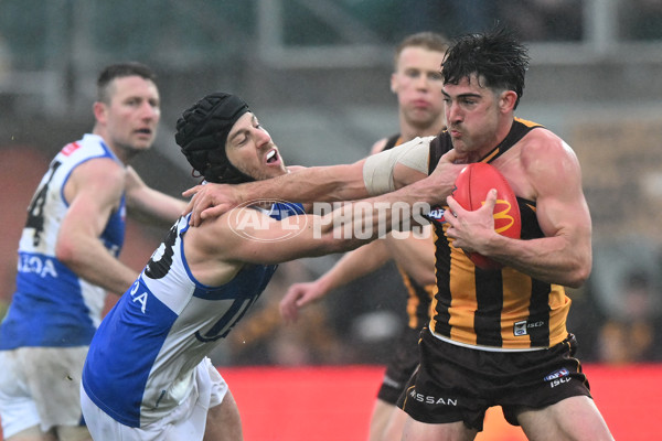 AFL 2024 Round 24 - Hawthorn v North Melbourne - A-53364123