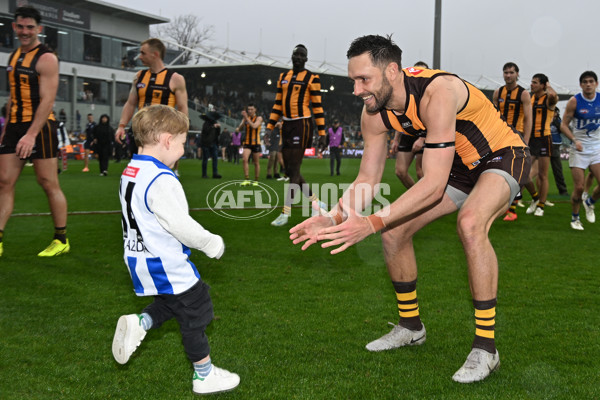 AFL 2024 Round 24 - Hawthorn v North Melbourne - A-53364144