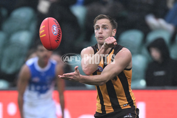 AFL 2024 Round 24 - Hawthorn v North Melbourne - A-53364147