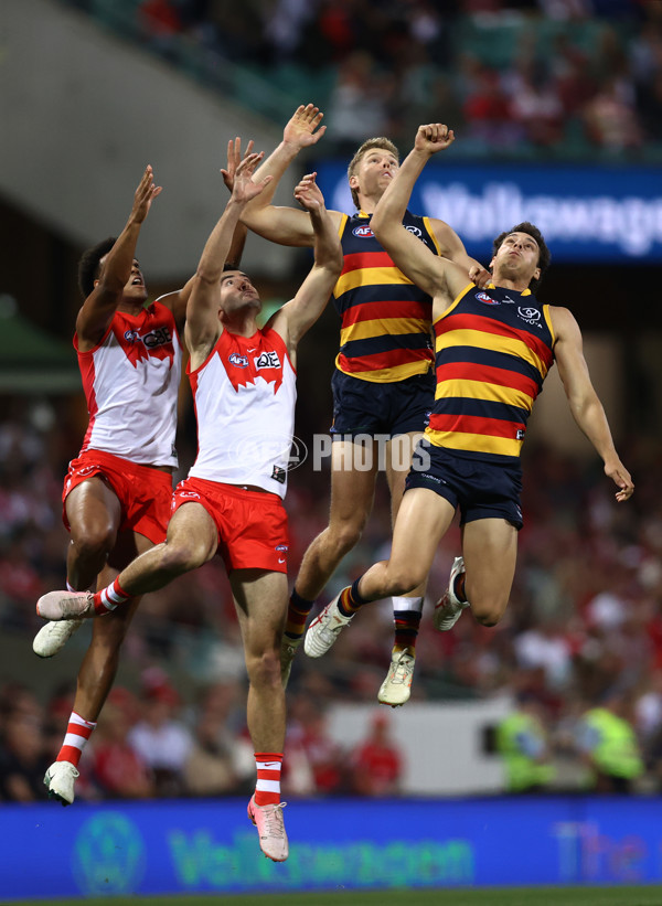 AFL 2024 Round 24 - Sydney v Adelaide - A-53364149