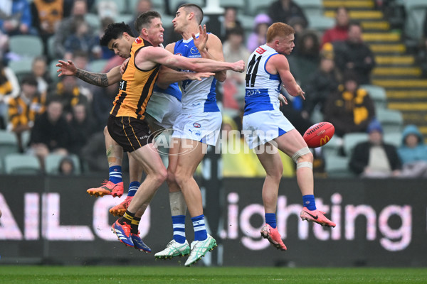 AFL 2024 Round 24 - Hawthorn v North Melbourne - A-53364156