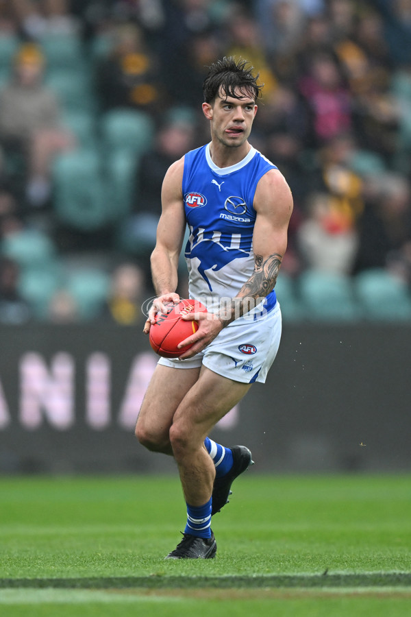 AFL 2024 Round 24 - Hawthorn v North Melbourne - A-53364843
