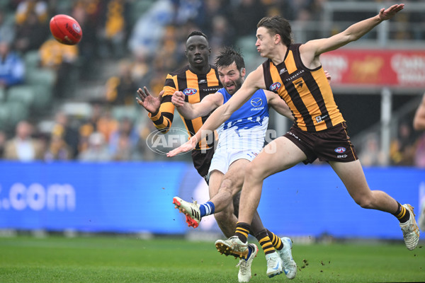 AFL 2024 Round 24 - Hawthorn v North Melbourne - A-53364844