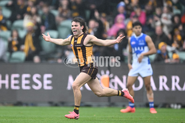 AFL 2024 Round 24 - Hawthorn v North Melbourne - A-53364848