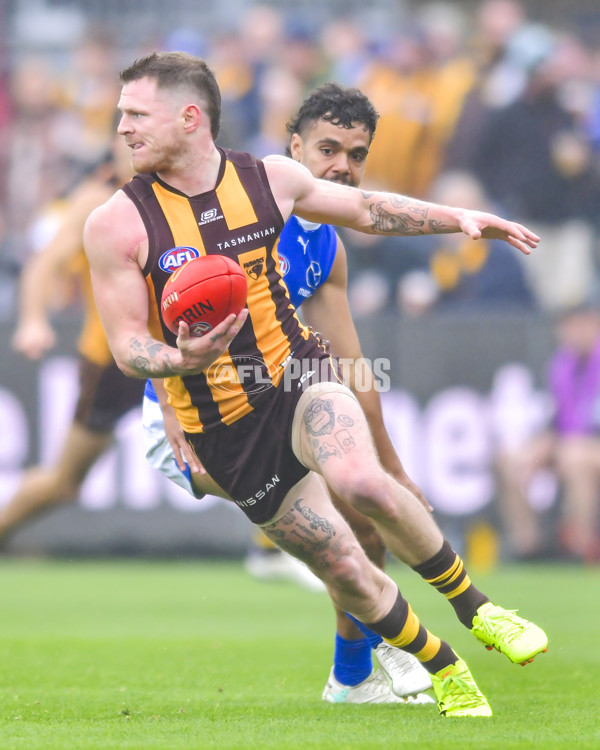 AFL 2024 Round 24 - Hawthorn v North Melbourne - A-53364851
