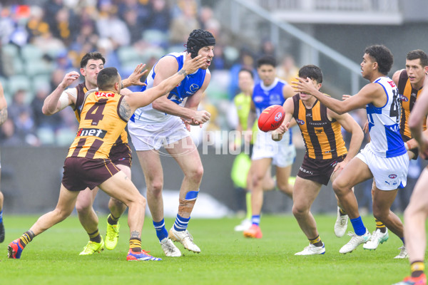 AFL 2024 Round 24 - Hawthorn v North Melbourne - A-53364852