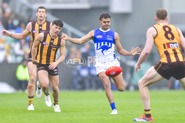 AFL 2024 Round 24 - Hawthorn v North Melbourne - A-53364855