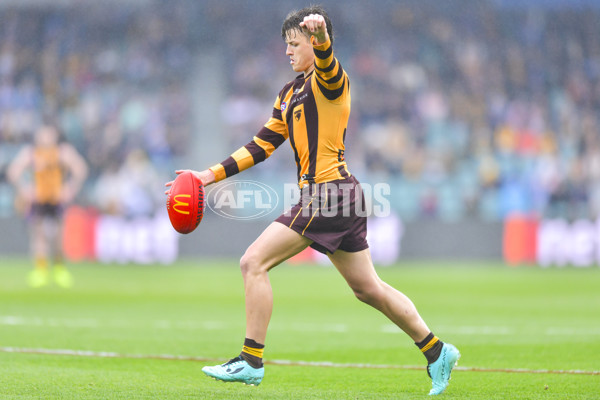 AFL 2024 Round 24 - Hawthorn v North Melbourne - A-53364856