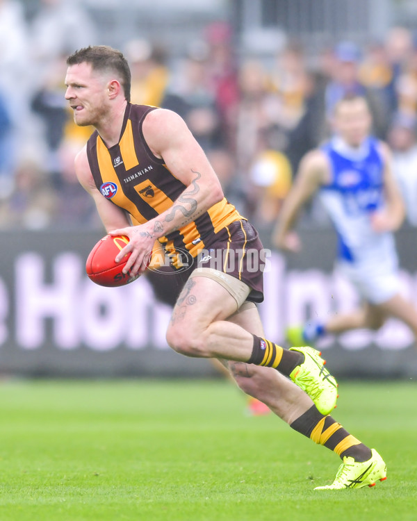 AFL 2024 Round 24 - Hawthorn v North Melbourne - A-53364859