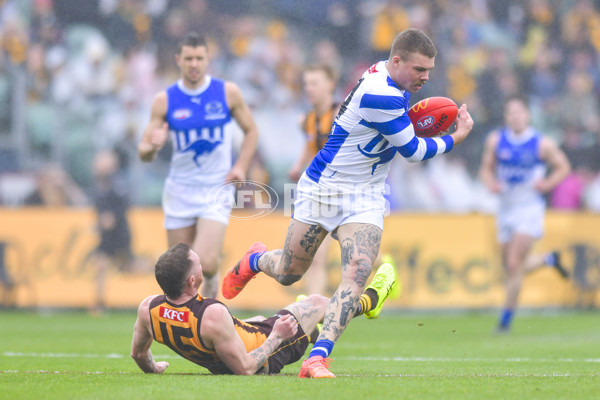 AFL 2024 Round 24 - Hawthorn v North Melbourne - A-53364862