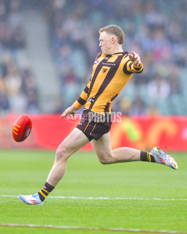 AFL 2024 Round 24 - Hawthorn v North Melbourne - A-53364863