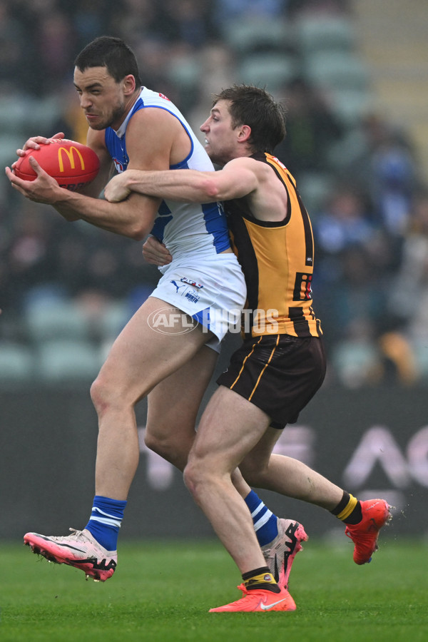 AFL 2024 Round 24 - Hawthorn v North Melbourne - A-53366792