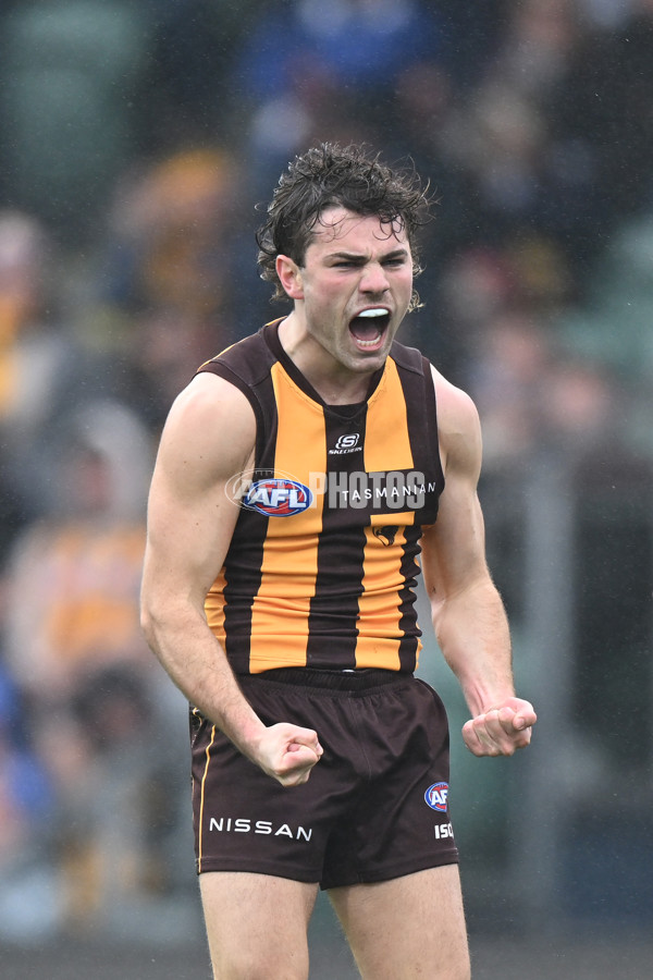 AFL 2024 Round 24 - Hawthorn v North Melbourne - A-53366793