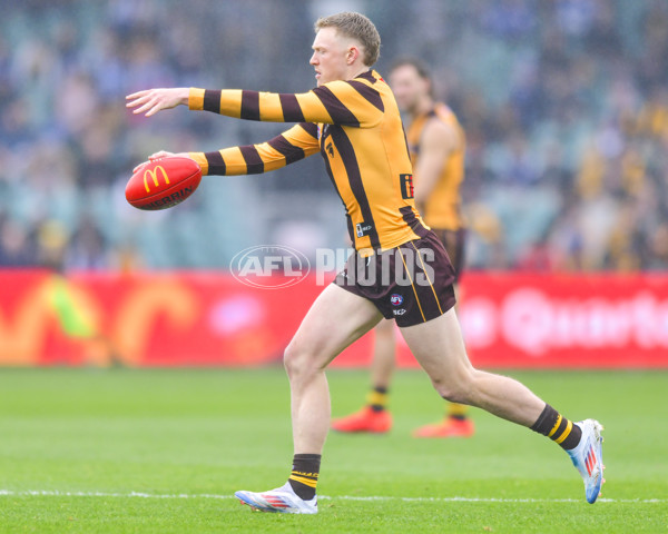 AFL 2024 Round 24 - Hawthorn v North Melbourne - A-53366795