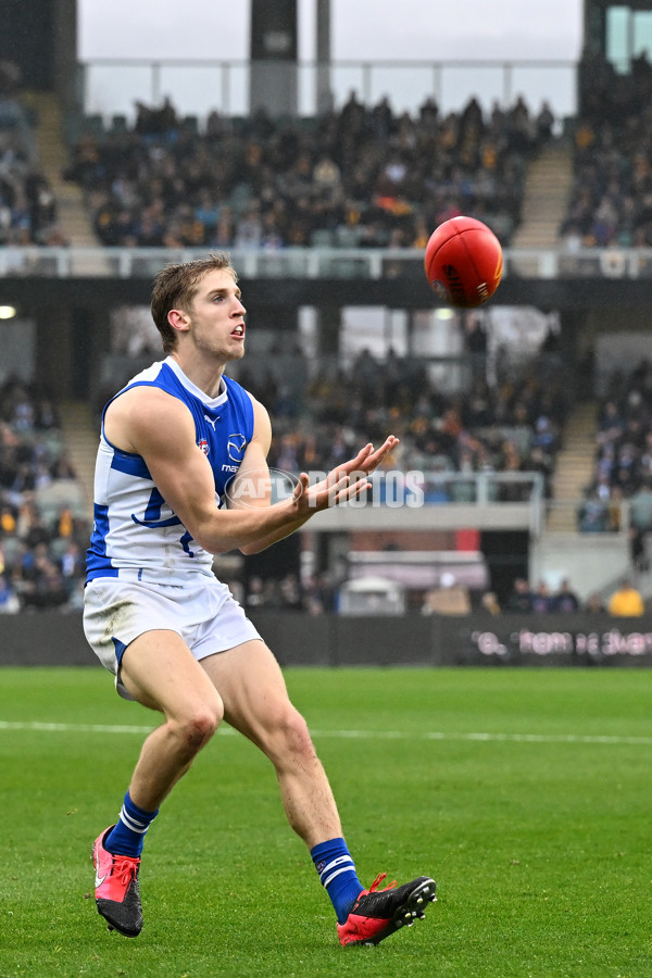 AFL 2024 Round 24 - Hawthorn v North Melbourne - A-53366818