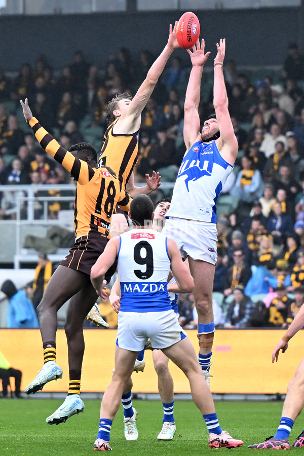 AFL 2024 Round 24 - Hawthorn v North Melbourne - A-53366841