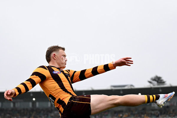 AFL 2024 Round 24 - Hawthorn v North Melbourne - A-53366846