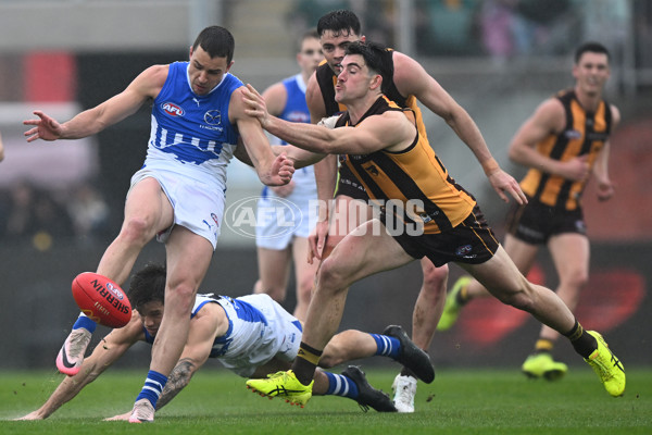 AFL 2024 Round 24 - Hawthorn v North Melbourne - A-53366855