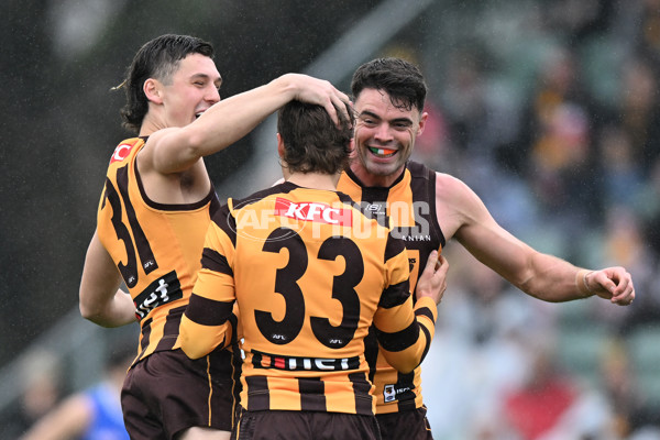AFL 2024 Round 24 - Hawthorn v North Melbourne - A-53366861