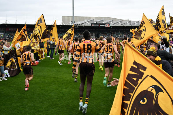 AFL 2024 Round 24 - Hawthorn v North Melbourne - A-53366883