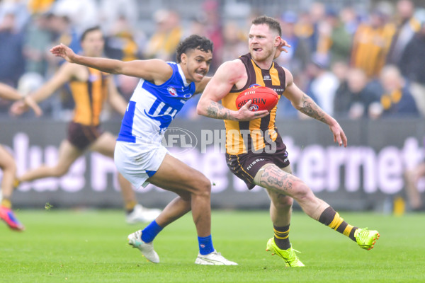 AFL 2024 Round 24 - Hawthorn v North Melbourne - A-53367703
