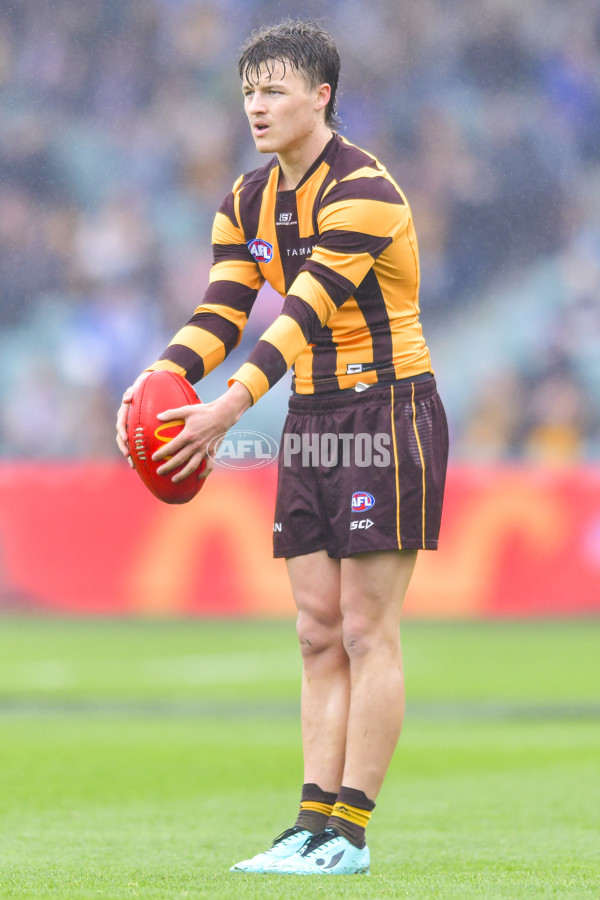 AFL 2024 Round 24 - Hawthorn v North Melbourne - A-53367704