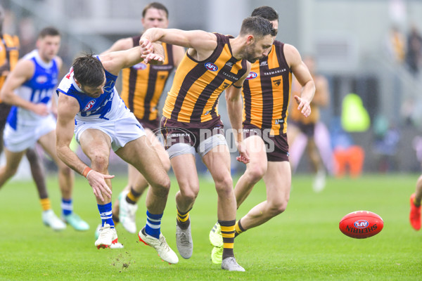 AFL 2024 Round 24 - Hawthorn v North Melbourne - A-53367705