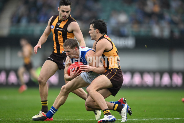 AFL 2024 Round 24 - Hawthorn v North Melbourne - A-53367722