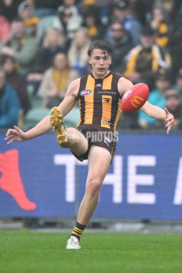 AFL 2024 Round 24 - Hawthorn v North Melbourne - A-53367755