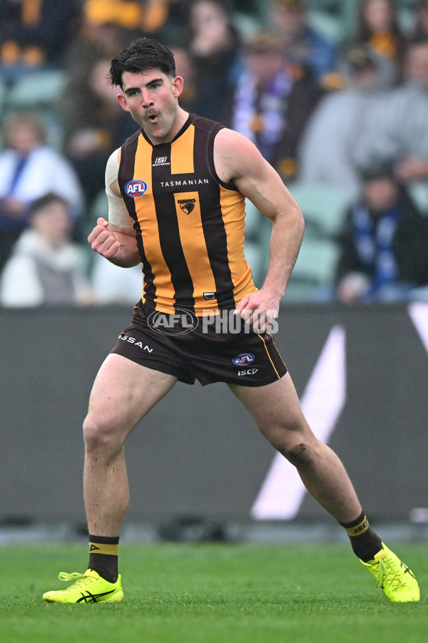 AFL 2024 Round 24 - Hawthorn v North Melbourne - A-53367760