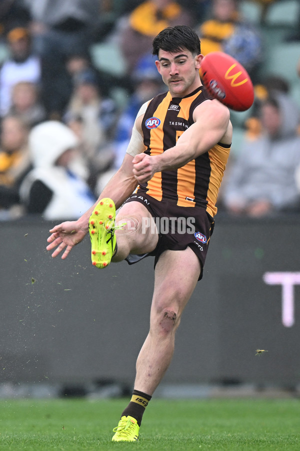 AFL 2024 Round 24 - Hawthorn v North Melbourne - A-53367766